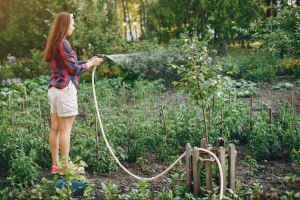 Gardening, Essential Tools! Gardening, Essential Tools!